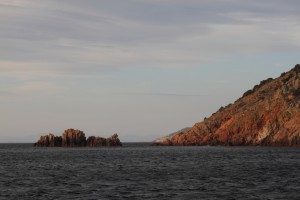 Rote Felsen auf Korsika